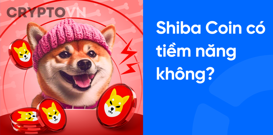 Biểu đồ thị trường crypto và biến động giá memecoin