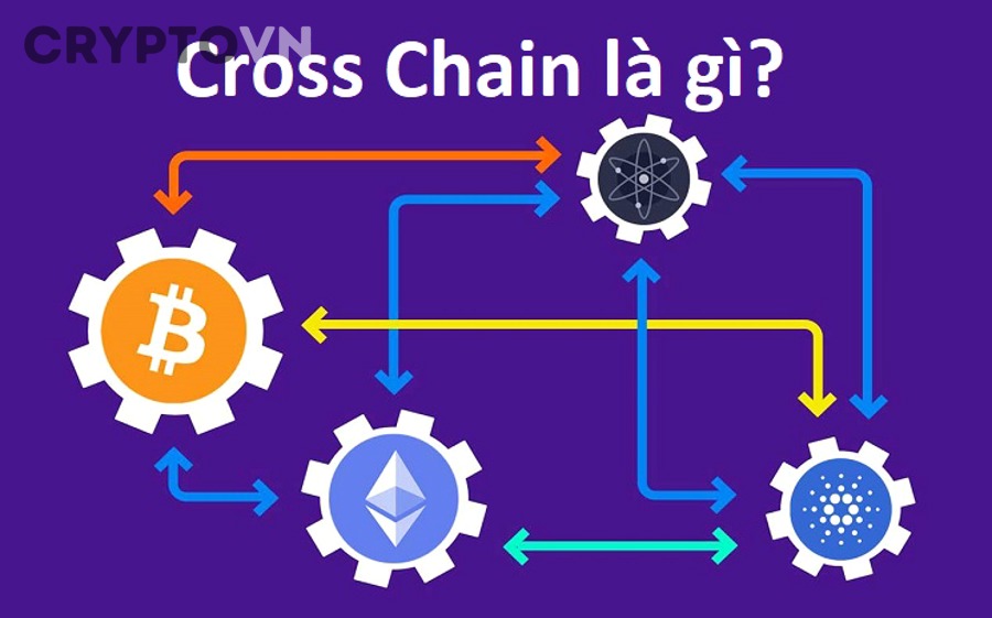 Khi nào không nên dùng bridge và các rủi ro vi mô nào cần hiểu thêm?