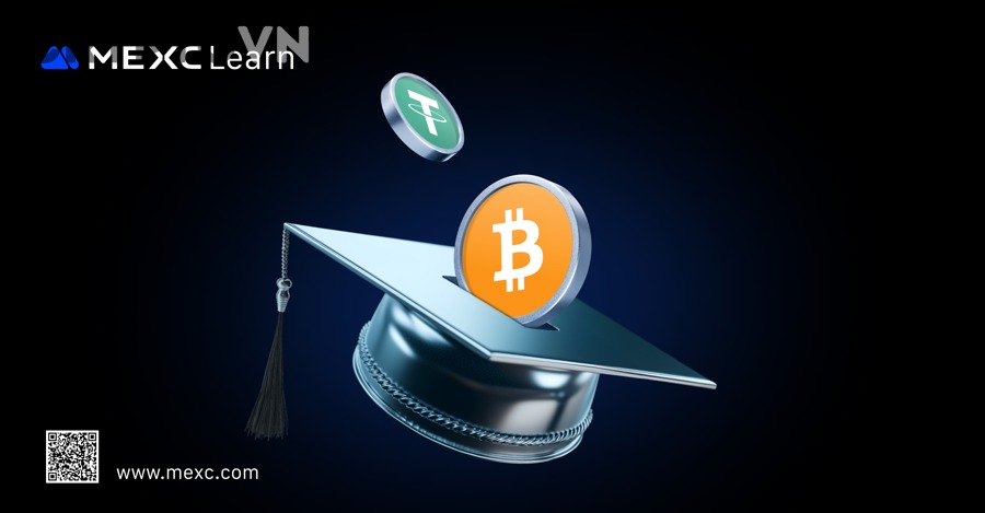 Người dùng ví crypto cần hiểu gas tracker trước khi gửi giao dịch