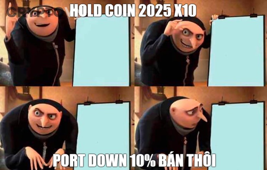 Rủi ro khi hold meme coin dài hạn trong thị trường crypto