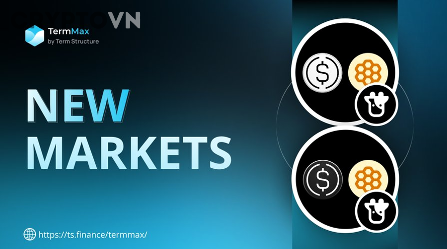 Mô phỏng hoạt động pool thanh khoản trong thị trường crypto