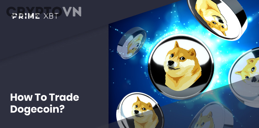 Người mới cần chuẩn bị những gì trước khi vào lệnh DOGE?