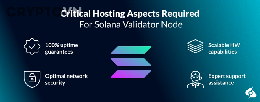 Người mới có nên tìm hiểu validator node từ đâu trước?