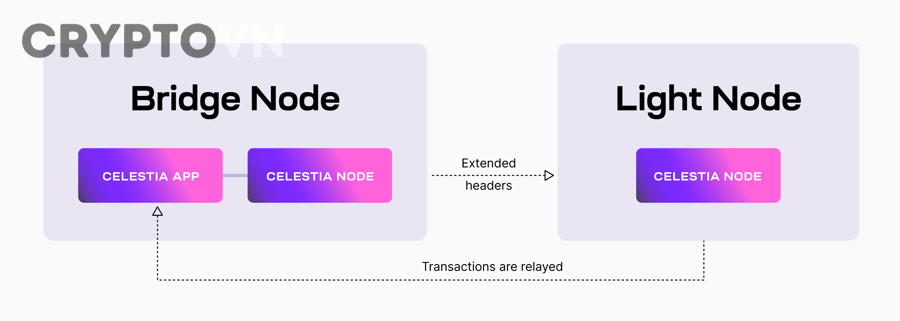 So sánh xác minh giao dịch giữa full node và light node trong blockchain