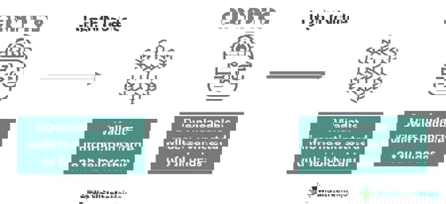 Phân Tích Ưu Nhược Điểm Light Node Trong Blockchain Cho Người Mới: Khi Nào Nên Dùng Nút Nhẹ?
