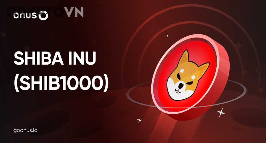 Nhà đầu tư đánh giá cơ hội và rủi ro của SHIB