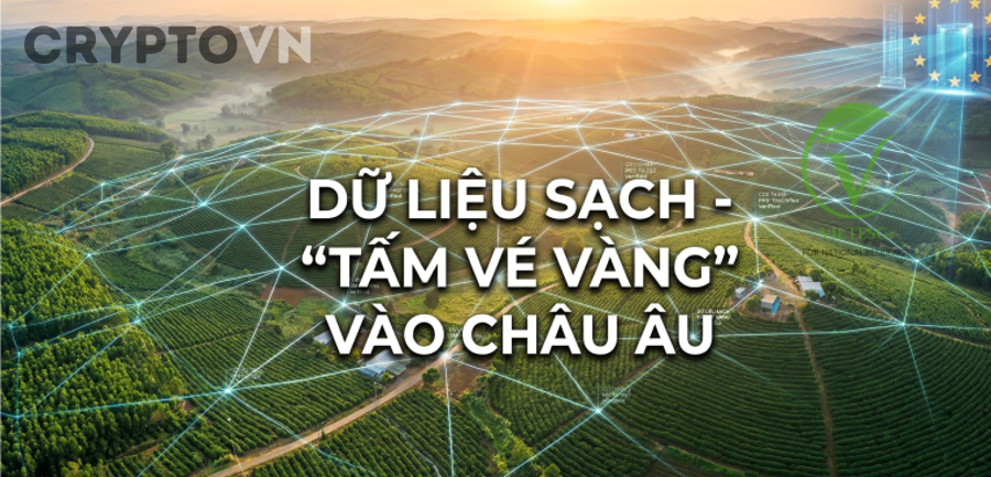 Mô hình lợi nhuận cam kết vô lý trong crypto