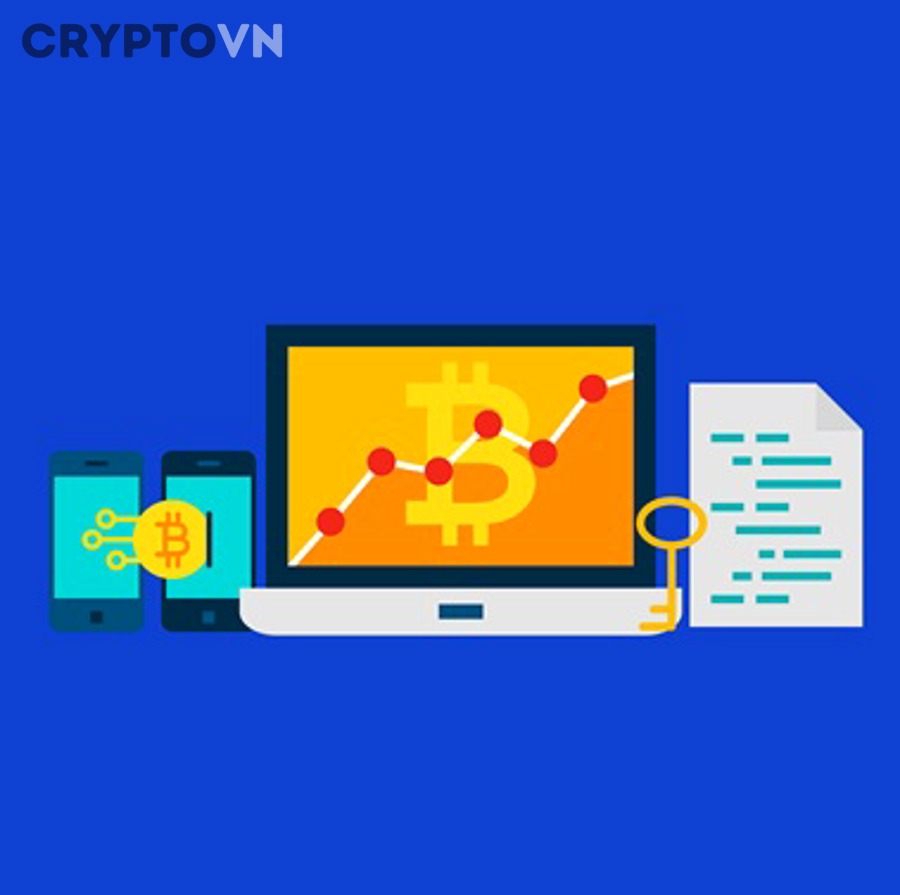 Người mới có nên trở thành validator ngay hay không?