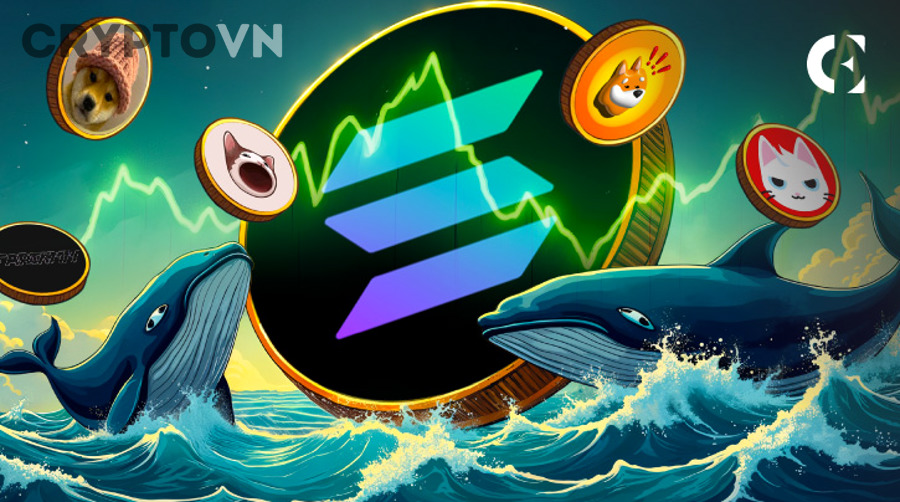 Rủi ro khi theo dõi whale và smart money để trade meme coin