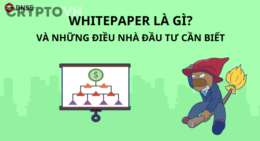 Khung chấm điểm dự án crypto bằng whitepaper gồm những nhóm nào?