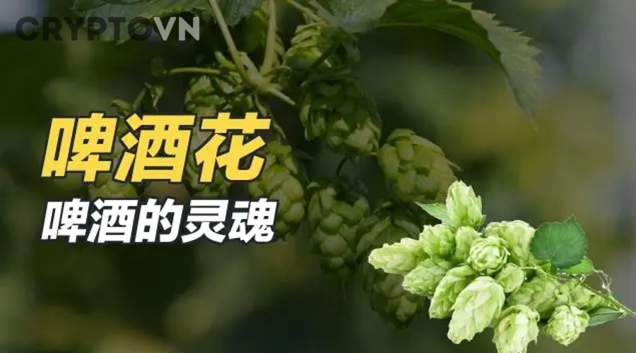 Pruned node là gì trong blockchain?