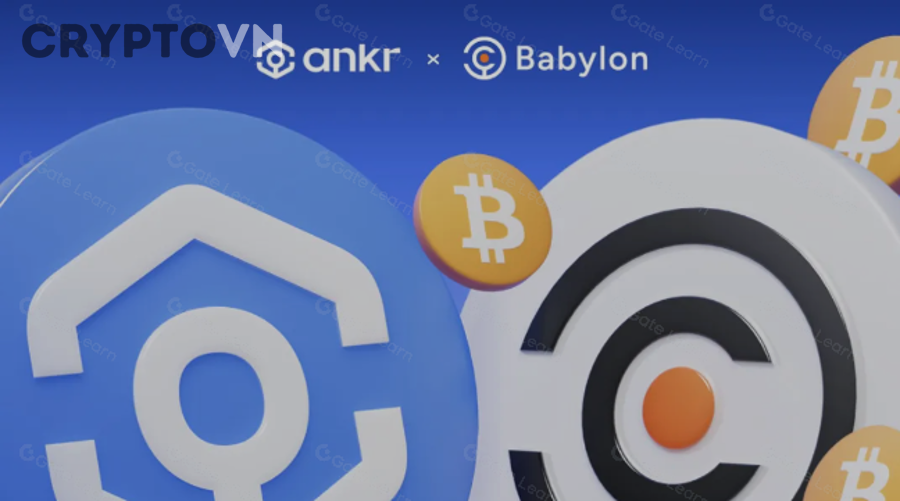 Người mới cần hiểu gì trước khi sử dụng cross-chain?