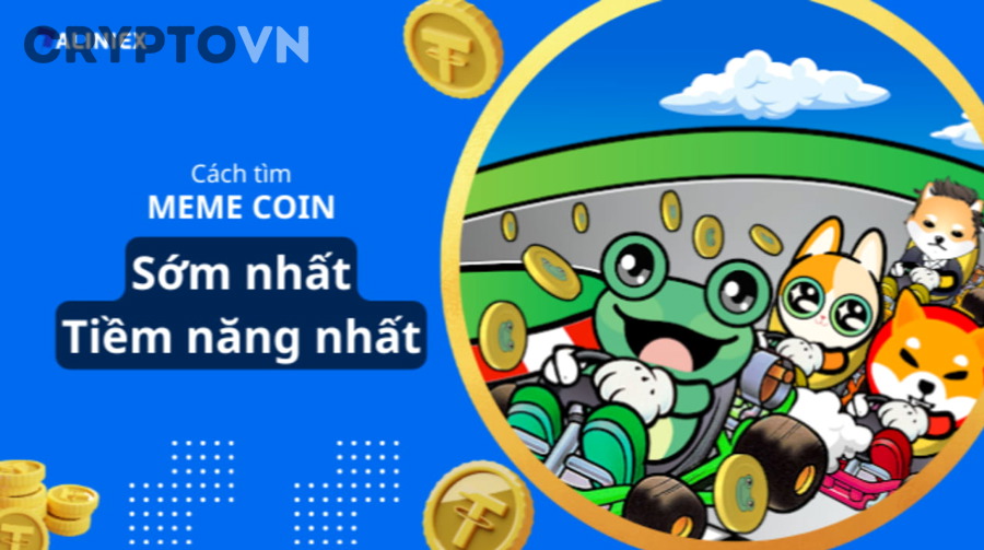 Phân bổ holder và ví dev của meme coin có cho thấy rủi ro thao túng giá không?
