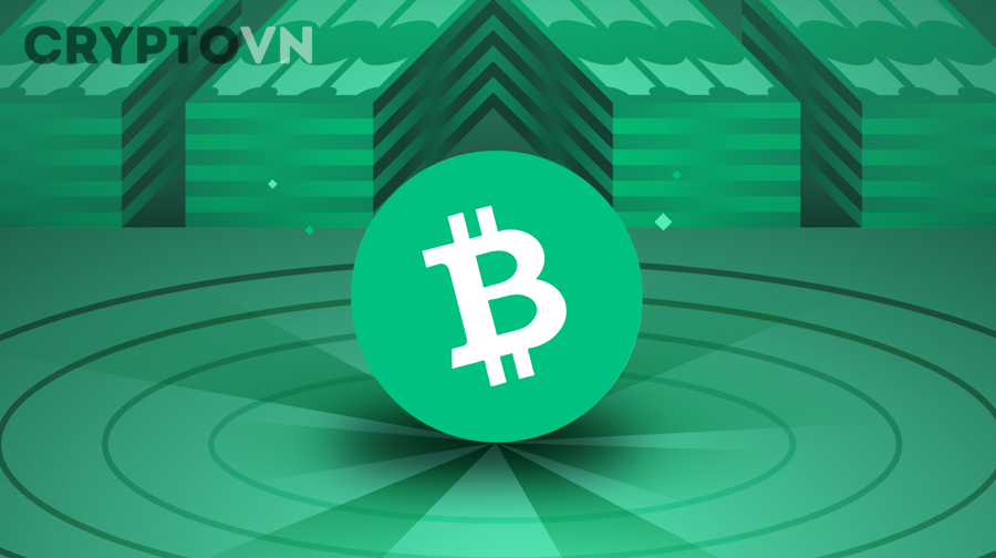 Biểu tượng Bitcoin Cash minh họa ví dụ hard fork của Bitcoin