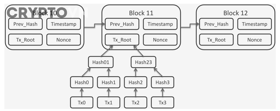 Sơ đồ cấu trúc block và các thành phần như nonce, timestamp, transaction root liên quan đến cơ chế chống replay attack