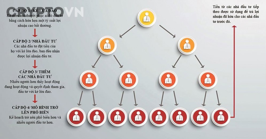 Mô hình mạng lưới nhiều tầng trong lừa đảo đầu tư crypto