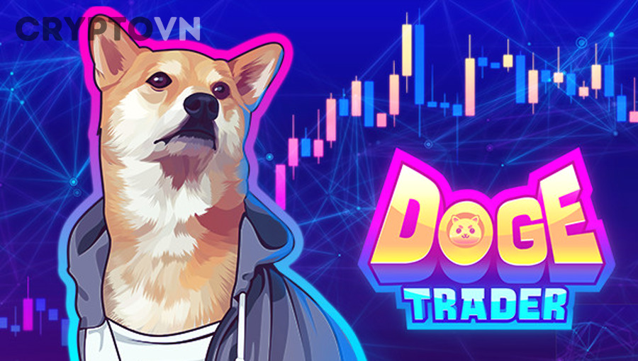 Người mới nên trade DOGE hay chỉ nên quan sát, hold hoặc chọn coin ít biến động hơn?