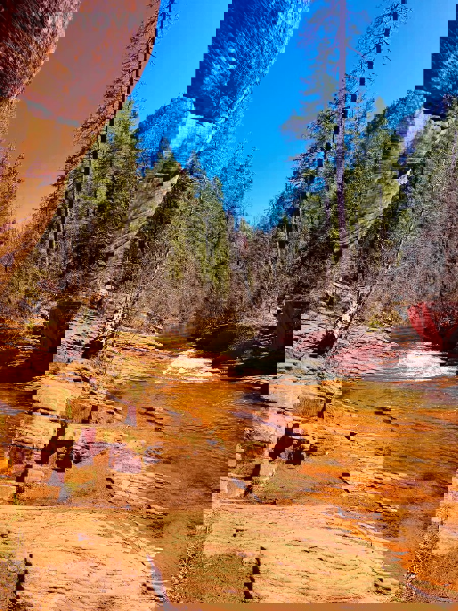 EIP có liên quan thế nào đến fork Ethereum?