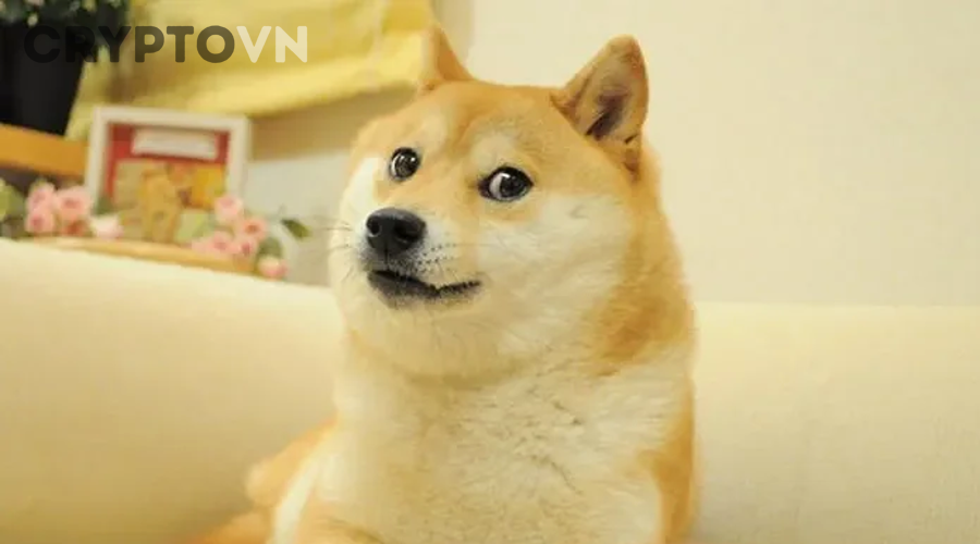 Những hiểu lầm nào dễ khiến nhà đầu tư đánh giá sai khi so sánh SHIB và DOGE?