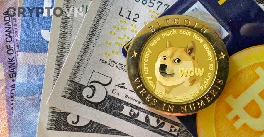 Dogecoin có phù hợp với người mới không