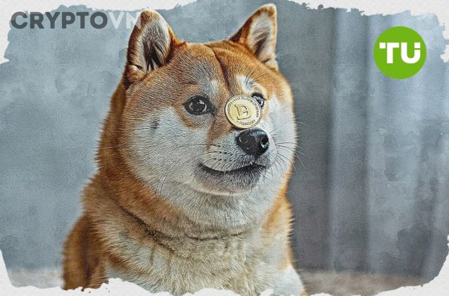 7 Dấu Hiệu Cảnh Báo Nào Giúp Nhận Diện Rủi Ro Meme Coin?