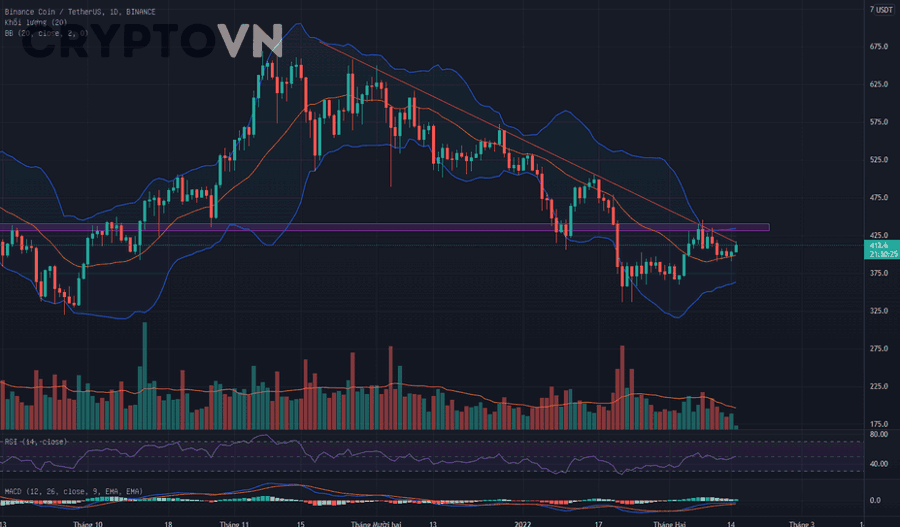 Màn hình biểu đồ vốn hóa thị trường crypto và dữ liệu tokenomics