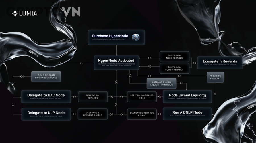 Người Mới Crypto Nên Đọc Liquidity Lock Theo Cách Nào Để Tránh Hiểu Sai?