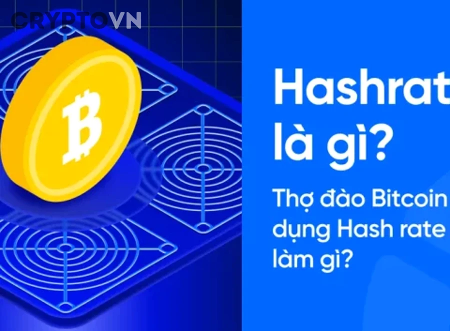 Hashrate Bitcoin phản ánh sức khỏe mạng lưới và hoạt động khai thác
