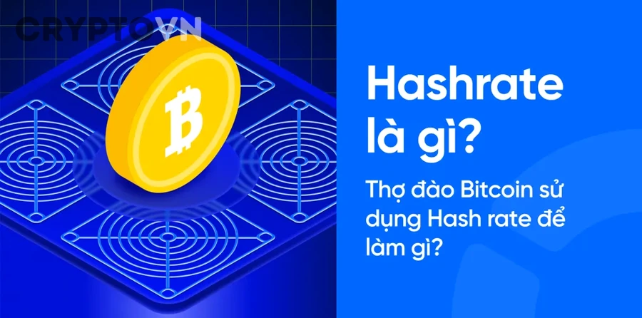 Người mới cần hiểu gì khi đọc chỉ số hashrate?