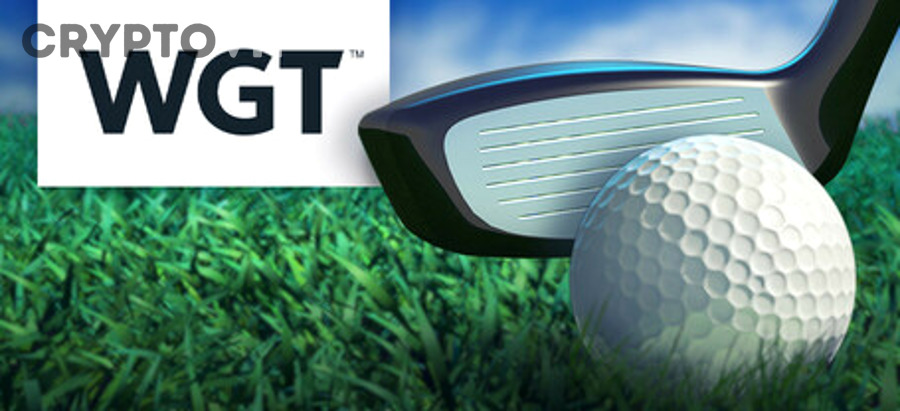 Nhà đầu tư kiểm tra rủi ro team ẩn danh trong dự án crypto