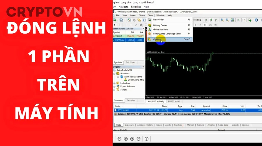 Cách Chia Vốn Và Chia Điểm Vào Lệnh Theo Từng Phần Như Thế Nào?