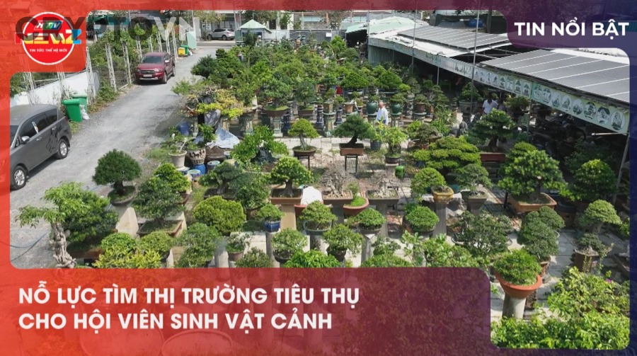 Ngoài market cap, những chỉ số nào giúp nhà đầu tư nhìn thị trường crypto toàn diện hơn?