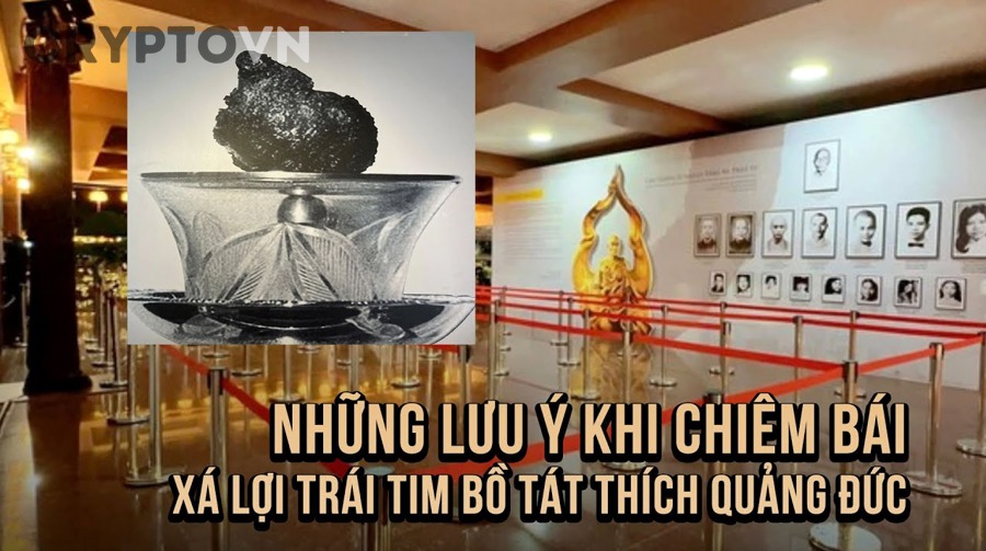 Làm sao đọc kiến trúc kỹ thuật trong whitepaper crypto mà không cần nền tảng developer?