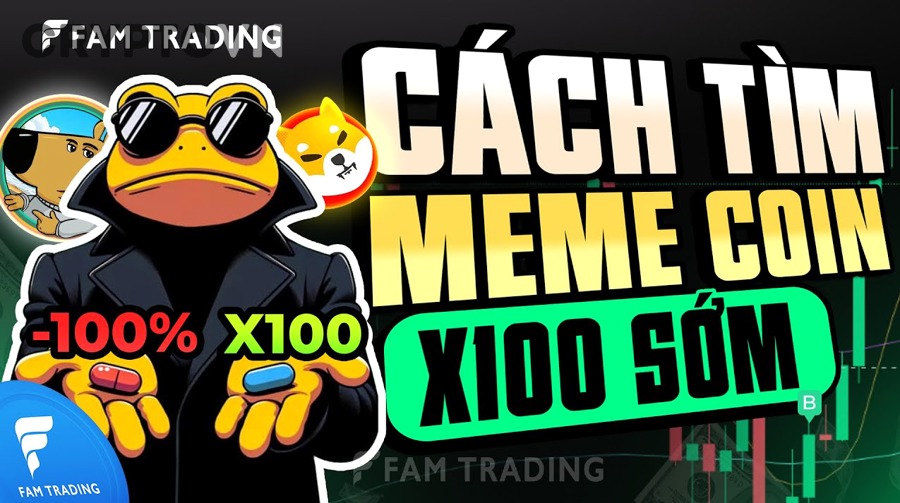 Người mới nên bắt đầu trade meme coin như thế nào?