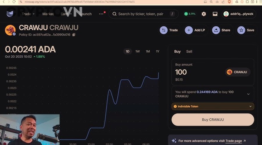Biểu đồ biến động giá crypto minh họa rủi ro slippage khi swap meme coin
