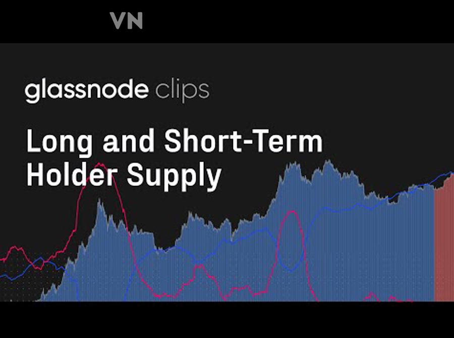 Hiểu dormant coins và long-term holder supply: Cách đọc tín hiệu tích lũy cho nhà đầu tư crypto