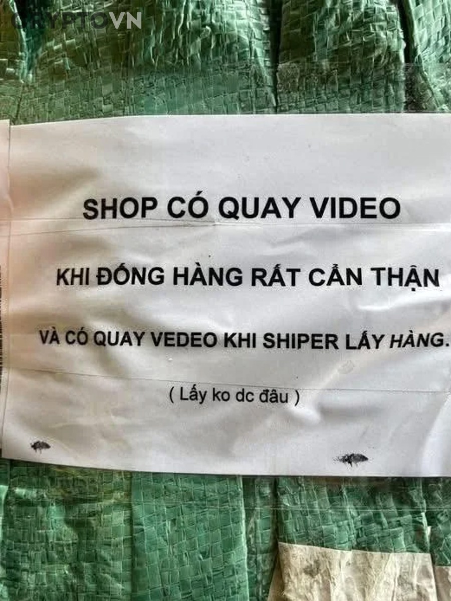 Biểu tượng Bitcoin minh họa cho chủ đề dữ liệu giao dịch crypto