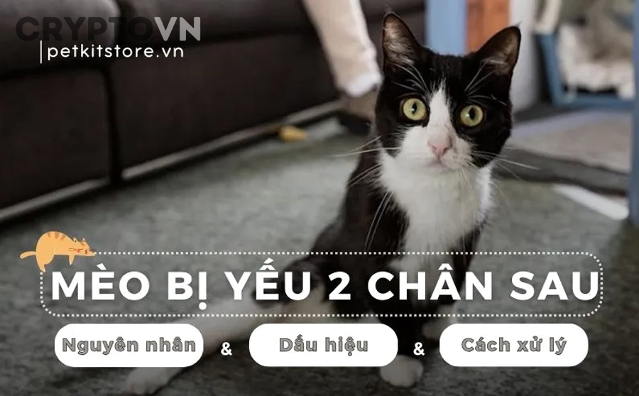 Giao dịch ngân hàng và quản trị rủi ro trong bối cảnh crypto