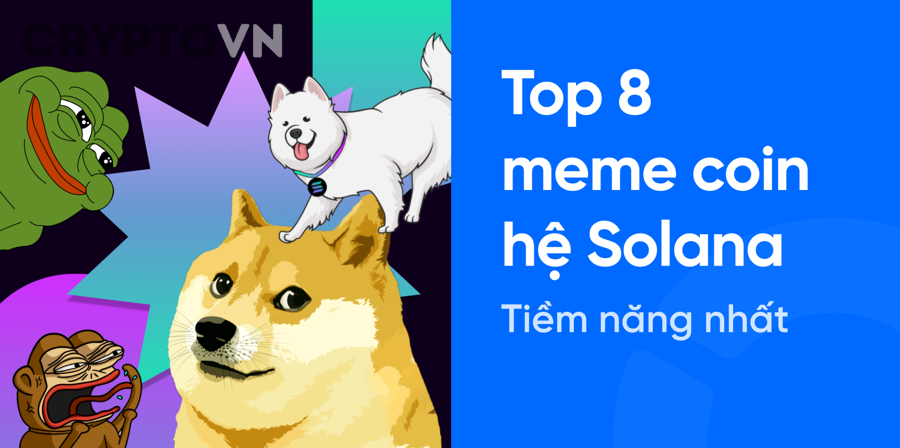 Theo dõi meme coin tiềm năng và quản lý vốn