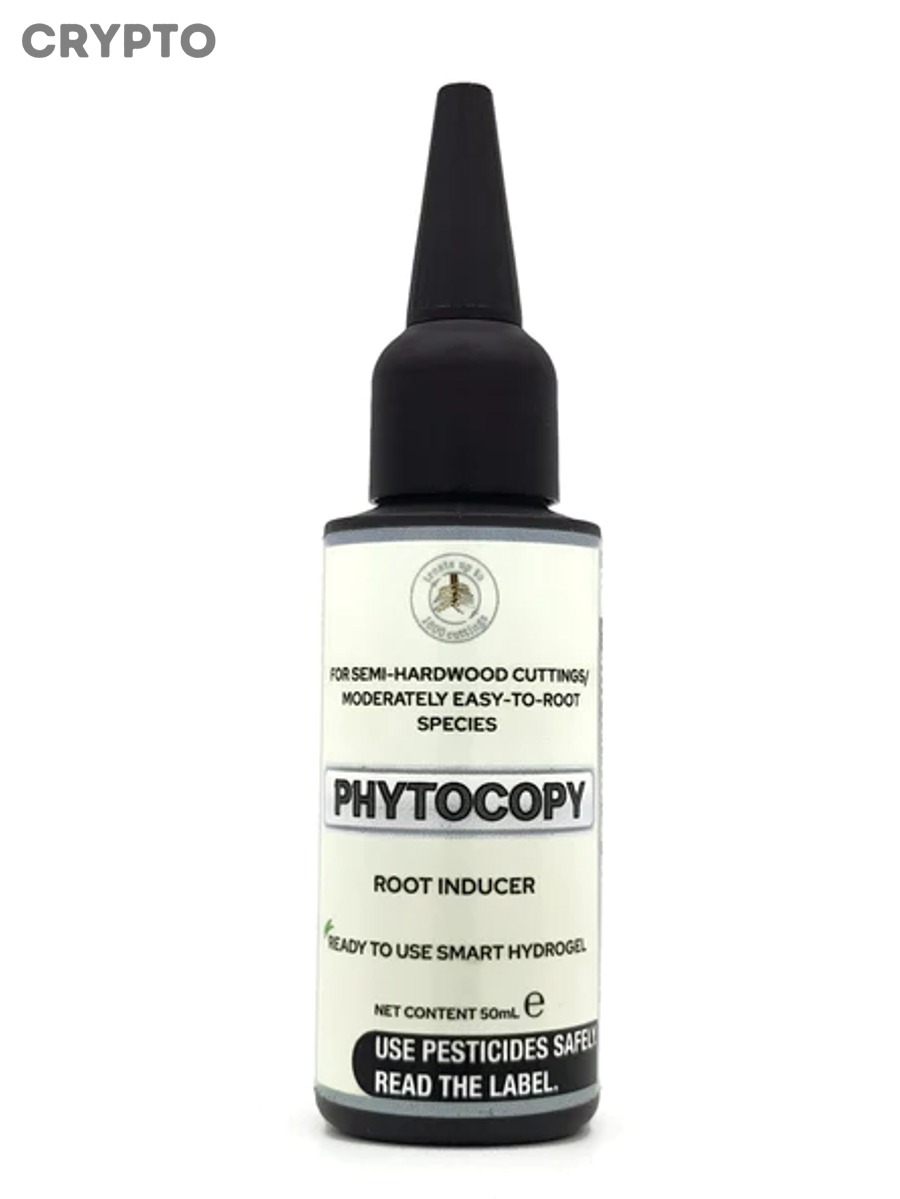 Cách đọc Base Fee và Priority Fee trên Ethereum cho người mới giao dịch cho dễ hiểu