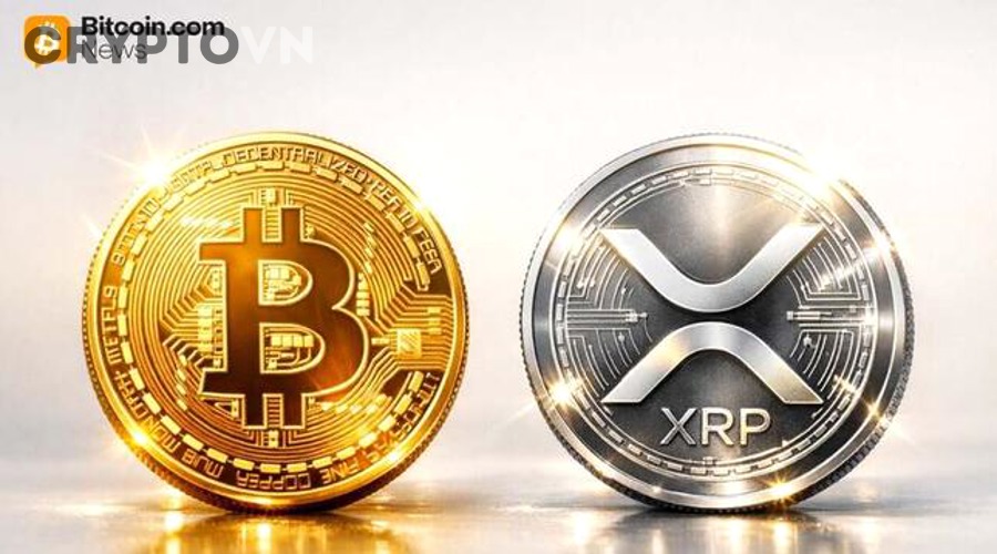 Cách Đọc FDV Trên CoinGecko: Hướng Dẫn Hiểu Định Giá Token Cho Người Mới