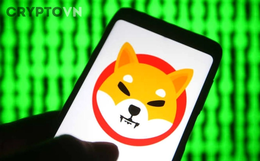 Biến động giá crypto và bẫy FOMO khi đầu tư SHIB