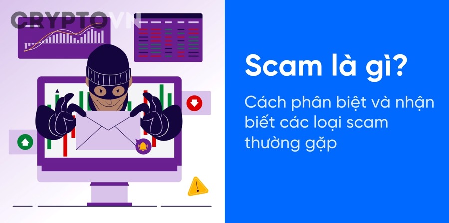 Logo PEPE coin dùng để minh họa cho việc nhận diện đúng token chính thức