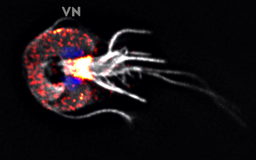Cách kiểm tra security assumptions và lập audit plan cho dự án crypto trước khi audit