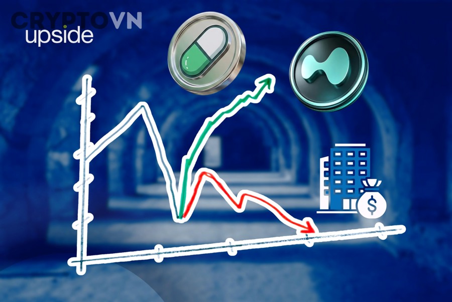 Có thể phân loại mức độ rủi ro của hành vi ví dev xả token như thế nào?