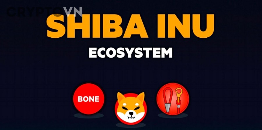 Người mới cần lưu ý gì để hiểu đúng SHIB và tránh hiểu sai về cách token này vận hành?