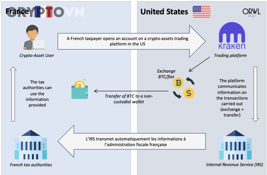 Nhà đầu tư theo dõi dữ liệu crypto và hồ sơ thuế trên màn hình máy tính
