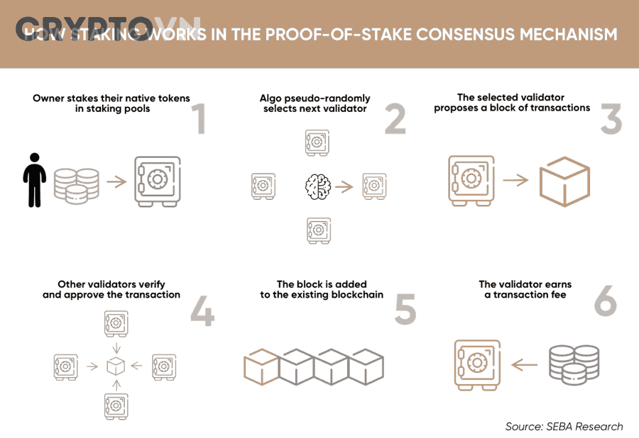 Vai trò của validator node trong mạng blockchain phi tập trung