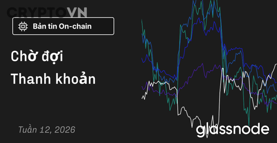 Kiểm tra thanh khoản trên DEX trước khi swap token