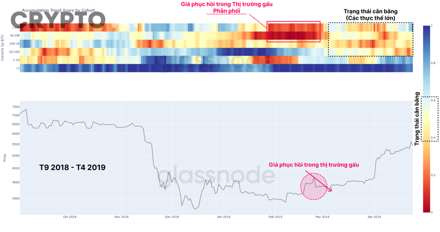 Nhà đầu tư theo dõi biểu đồ on-chain và dữ liệu crypto